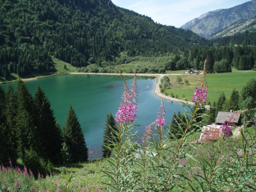 Le Clos Des Fontaines, A 5 Mn Du Lac Тонон-ле-Бен Экстерьер фото